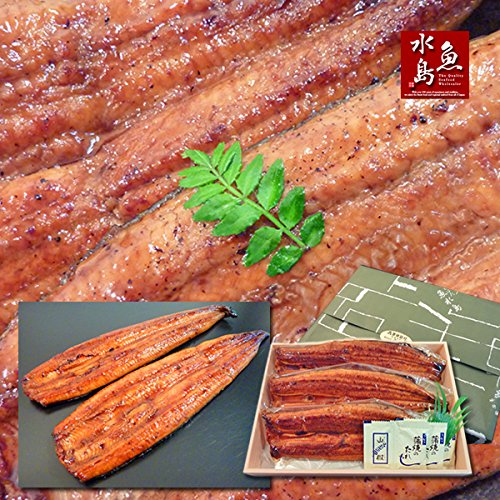 国産 鰻うなぎ蒲焼き 約30cm超特大 約200g×3尾