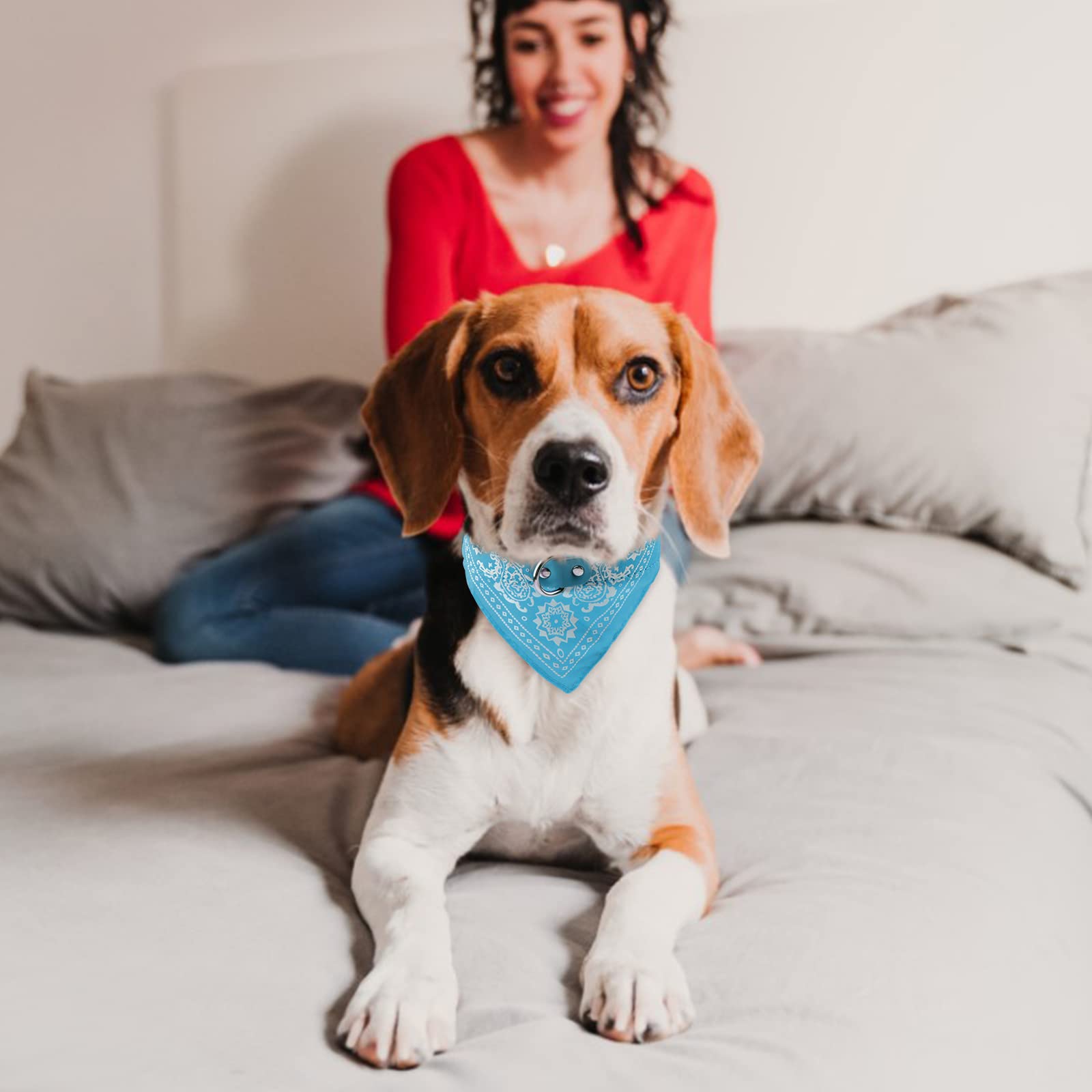 OH CHARLIE 首輪　バンダナカラー　ファッション Amazon | HACRAHO 犬の首輪バンダナ, 4個 調節可能なストラップ付きの