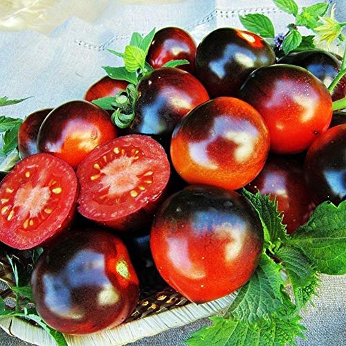 Austinstore 200 Stks Organische Zeldzame Tomatenzaden Heerlijk Fruit Groente Thuis Tuin Decor Zaad Behoefte Gek Mengsel… - Afbeelding 4