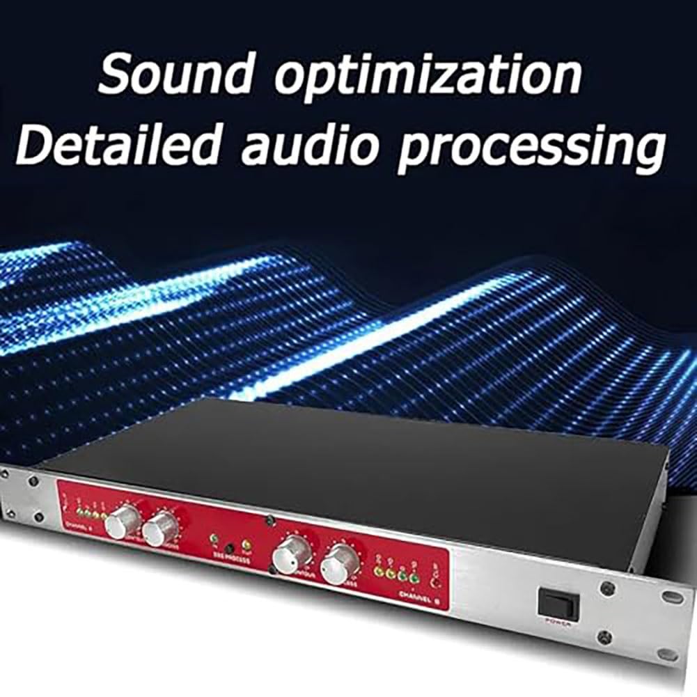 Processore audio professionale, doppio canale, autotune, eccitazione vocale & sonora, per karaoke casa, palco, spettacolo.