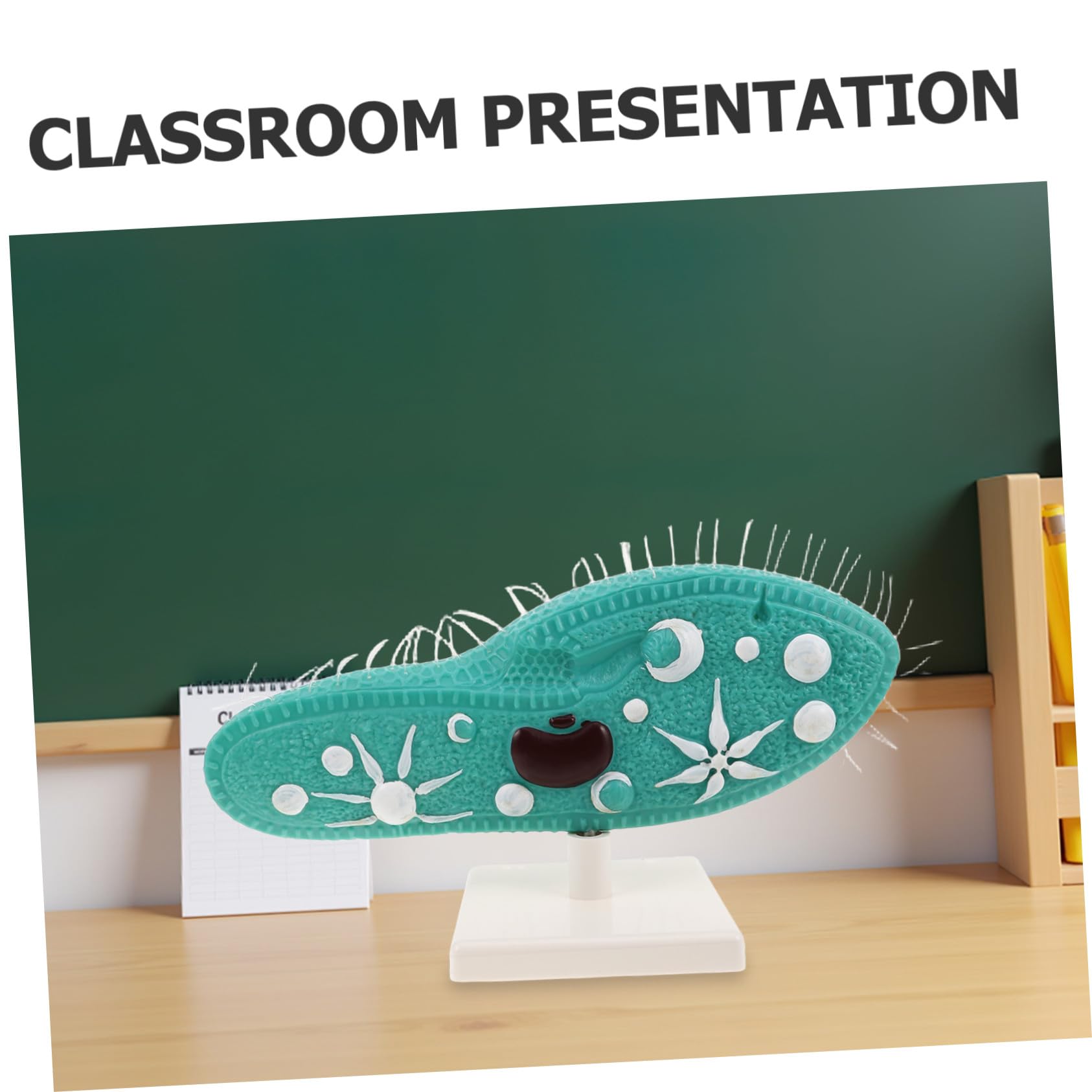 iplusmile Paramecio per Esperimenti di Biologia di Microscopio Didattico con Supporto per Laboratorio Campione per Aula di Scienze Educativo