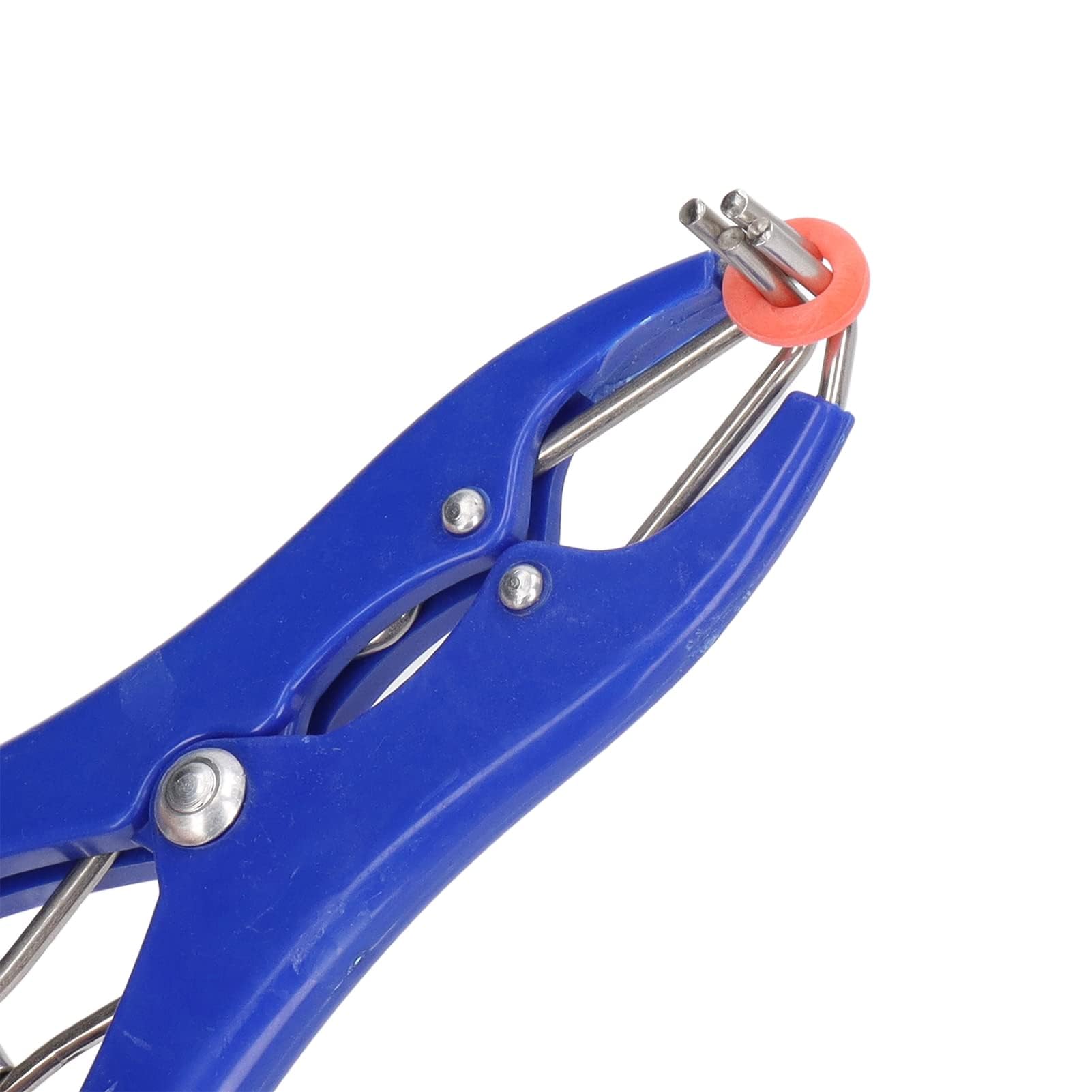 Kit Professionale per Castrazione 1 Pinza Elastrator in Plastica Durevole 100 Anelli Elastici di Gomma Rossa, per Ovini, Caprini e Suinetti Strumento per Allevamento e Uso Veterinario