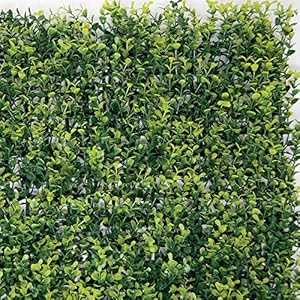 Kunstheg, verticaal, voor de muur in de tuin. Buxus Lichtgroen.