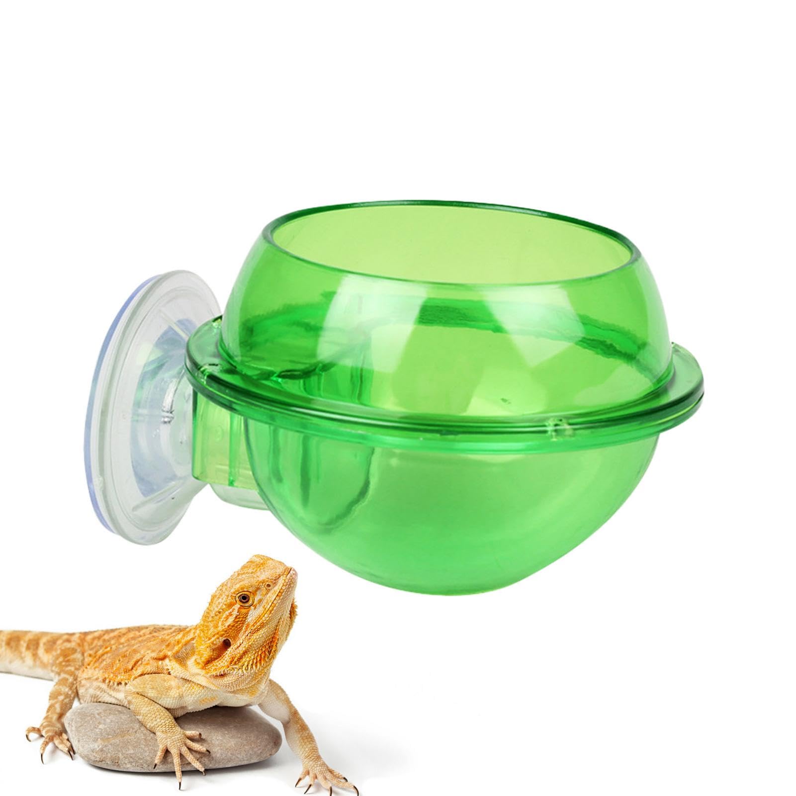 Mangiatoia Per Rettili JDCMEI Con Ventosa - Ciotola Rimovibile Per Tartarughe, Gechi E Lucertole - Foto 4