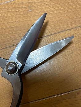 兼光　植木鋏　220 津島 兼光 植木鋏 兼光鋏 （津島鋏 兼光 大 庭師鋏 植木鋏）