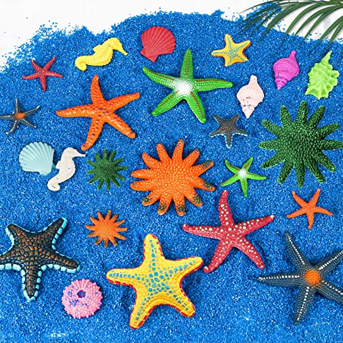 Natonhi 24 Pcs Pool Toys For Kids Colorful Soft Rubber Diving Starfish Seashells Conch Toys，Kids Birthday Swimming Pool Beach Party Favors Toys Fish Tank Stuffer #TOP1