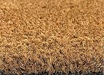 Grandismo Premium Coir Entrance Matting - Indoor/Outdoor - 1m or 2m Width - Cut To Size - Heavy Duty Tough Fibres - Hallway, Foyer, Lobby,Reception, Door Mat, Roll (1metre, 50cm)