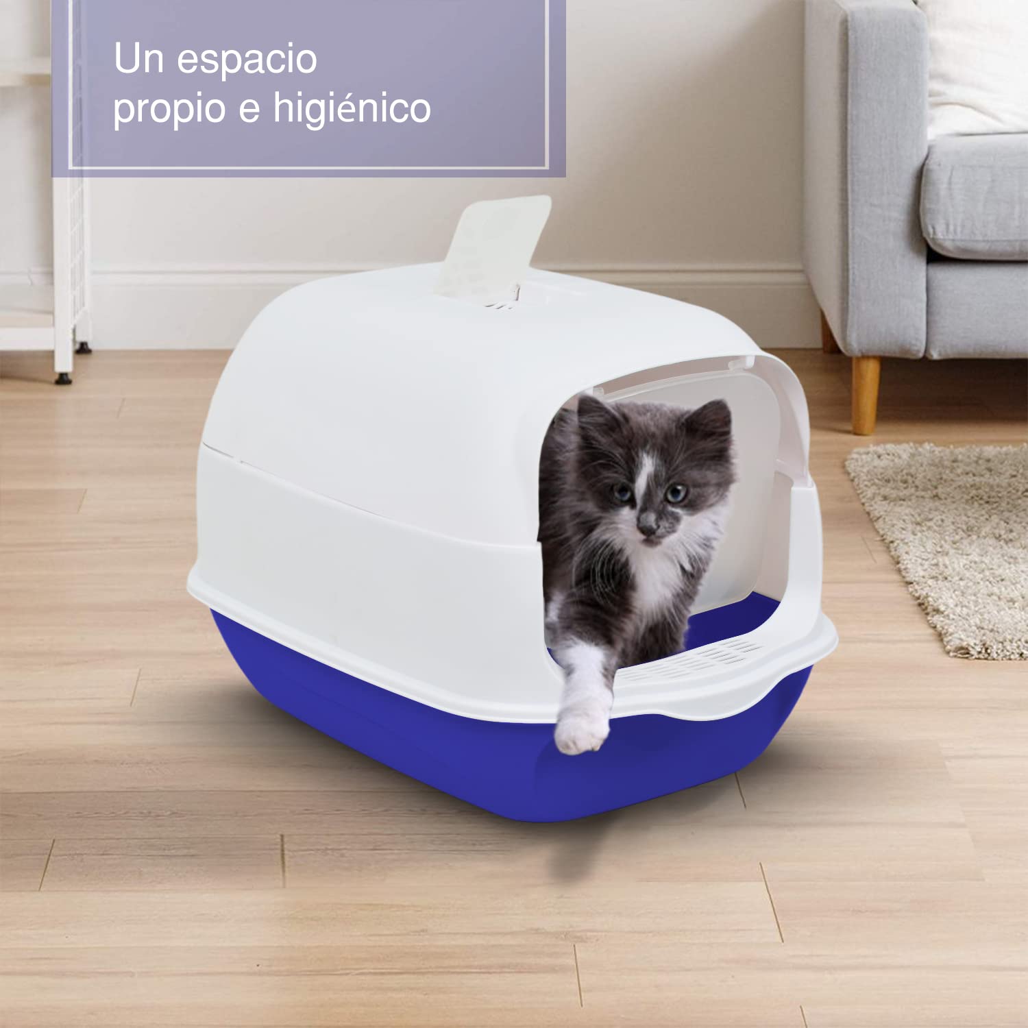 Para Gatos Mi Gato Se Acuesta En Su Arenero Gato Duerme Mi Gato No