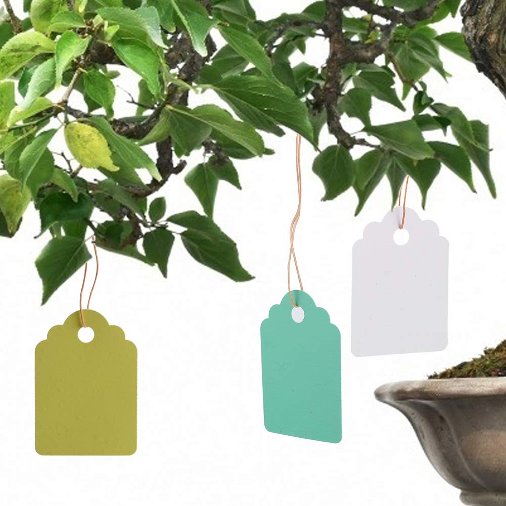 60 Pflanzenschilder 6x10 Cm - Wetterfeste T-Schilder Für Gemüse & Kräuter