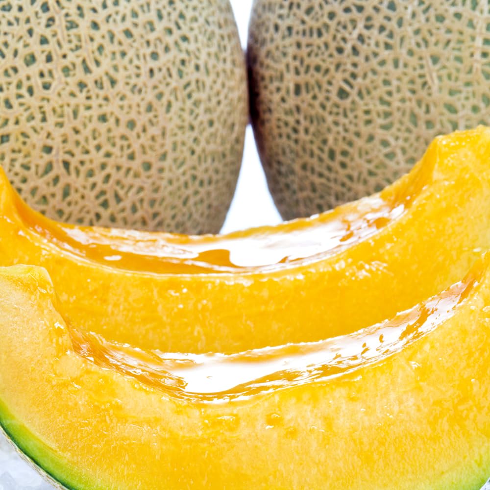 北のデリシャス 北海道産 ご家庭用 夕張メロン (共撰/良品/1玉 約1.5kg/冷蔵品) 訳あり 赤肉メロン 果物 フルーツ お取り寄せ