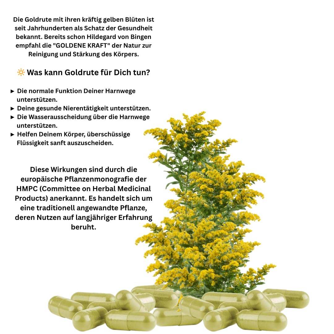 Echte GOLDRUTE Solidago Goldrutenkraut 180 Kapseln NIEREN - BLASE - HARNWEGE - NATUR pur [OHNE ZUSATZSTOFFE] 26935-180