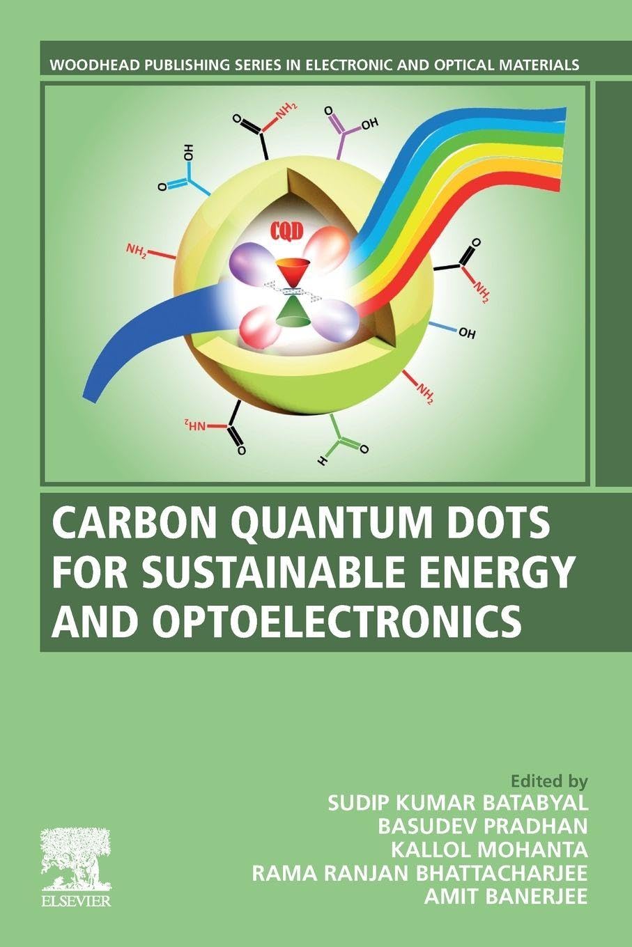 Carbon Quantum Dots for Sustainable Energy and Optoelectronics (Woodhead Publishing Series in Electronic and Optical Materials)