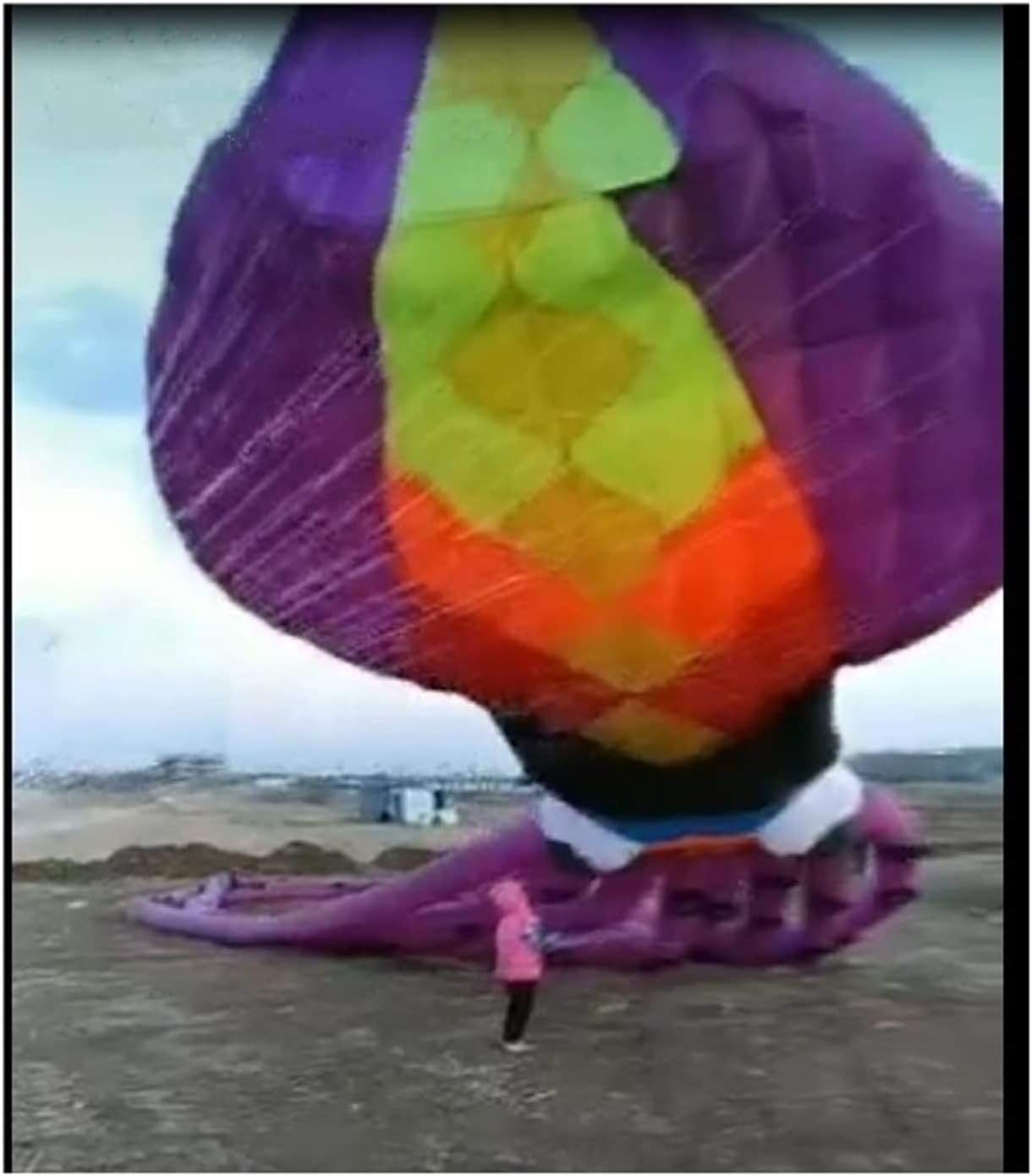 Beach Kites for Adults, Big 3D Flying Kite, Large Giant