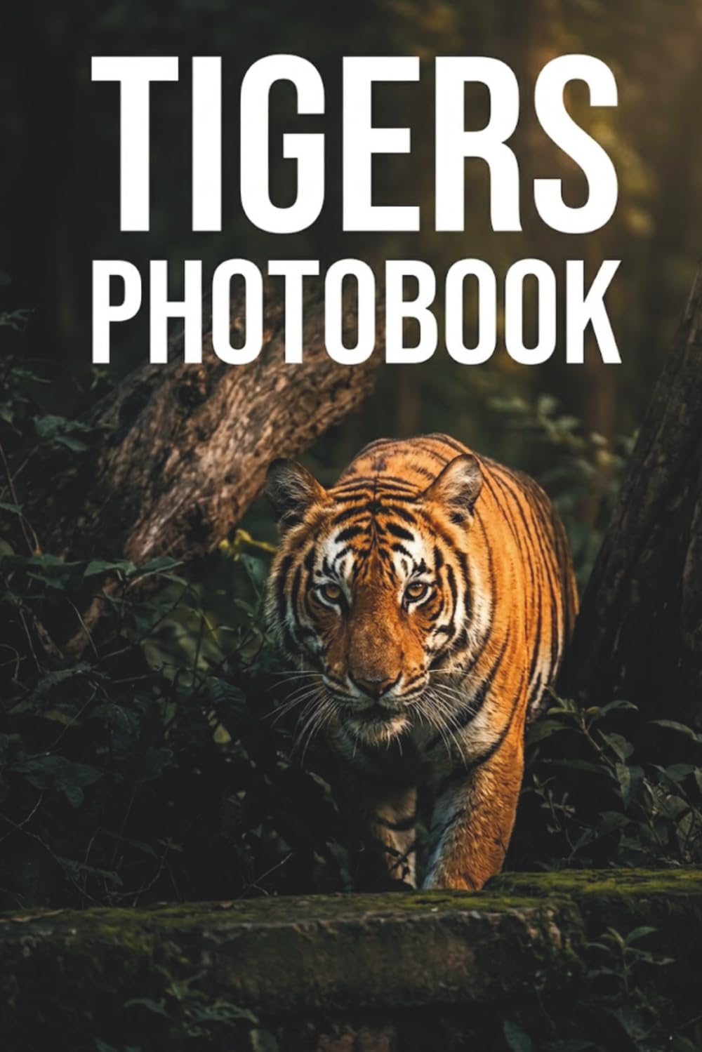 Majestic Predators A Cinematic Tigers Photobook: An Exquisite Visual Journey Into the Wild