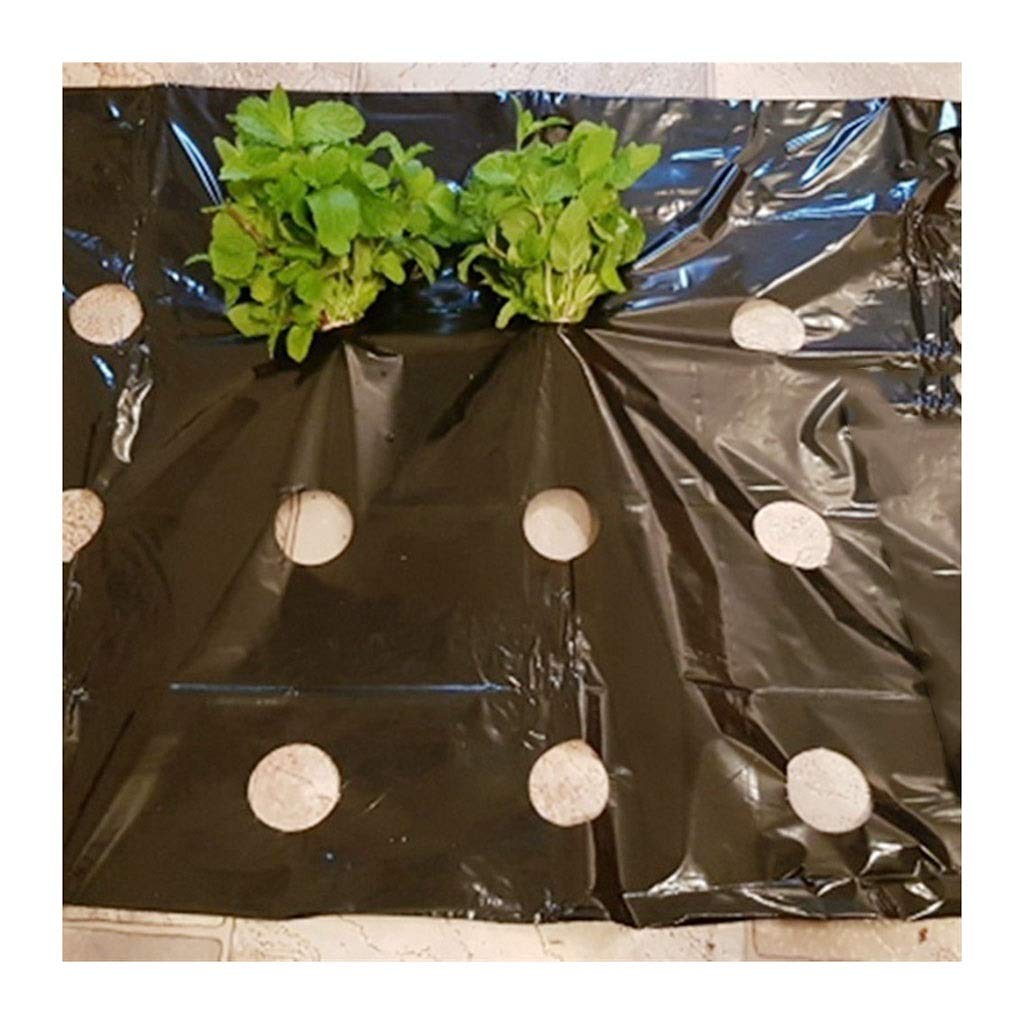 fogli di plastica per uso intensivo，， 5~50M 0,02 mm 5 fori Pellicola da giardino nera Pellicola for la crescita di piante di ortaggi di alta qualità(50 Meters)