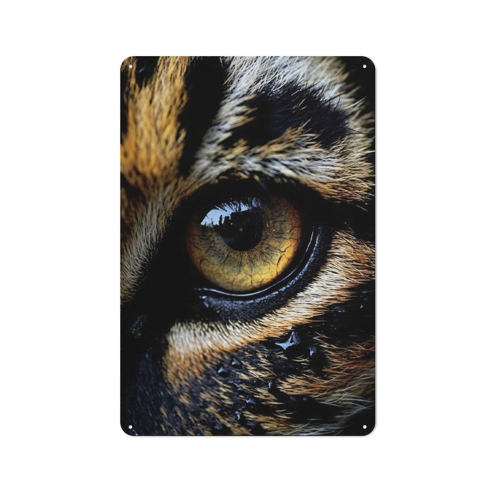 Everyday Eye of Tiger Metal Gift Sign 30x20cm, Room Wall Plaque for Home, Shop, Pub Or Studio Wall