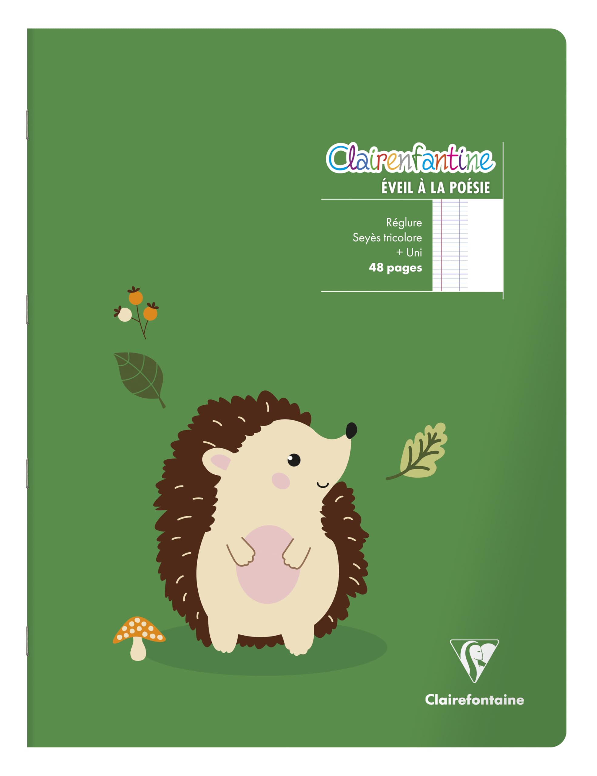 Clairefontaine 36750C zeszyty x20 do poezji, 32 cm, 90 g, 48 stron