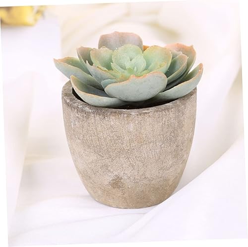 Miniatura 4 de STOBOK 3pcs Artificial Succulent Succulants Decor for Home Artificial Potted Succulent Plants Suculentas Pot Feaux Succulents Potted Bonsai Potted