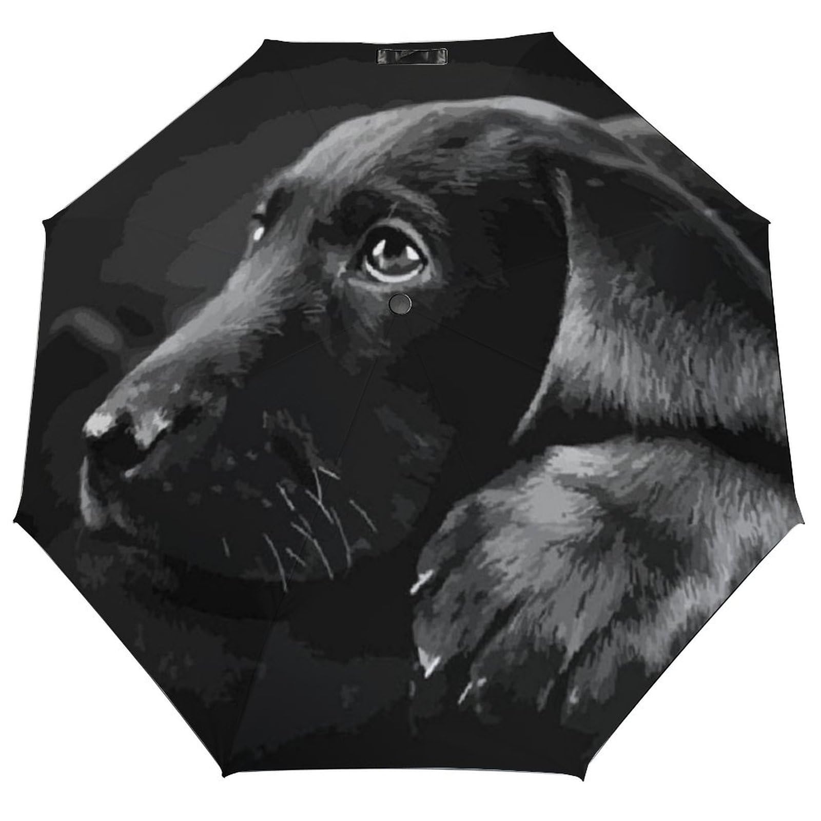 Qjjinxior Folding Umbrella, Black Labrador Puppy Art Umbrella, Travel Umbrella for Windproof, Rainproof