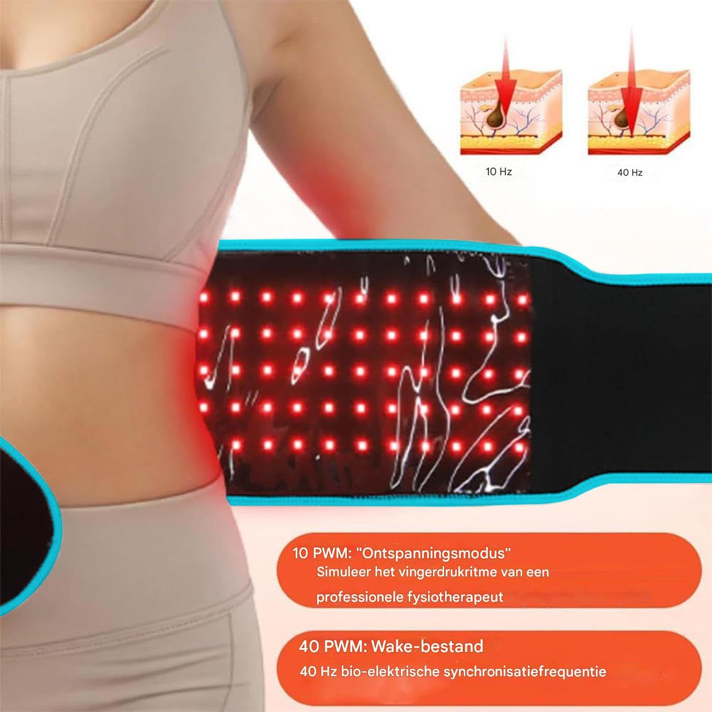 Ceinture Amincissante pour La Graisse du Ventre Accessoires de Mise en