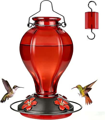 Glass Hummingbird Feeders for Outdoors Hanging, 24oz Wild Bird Nectar