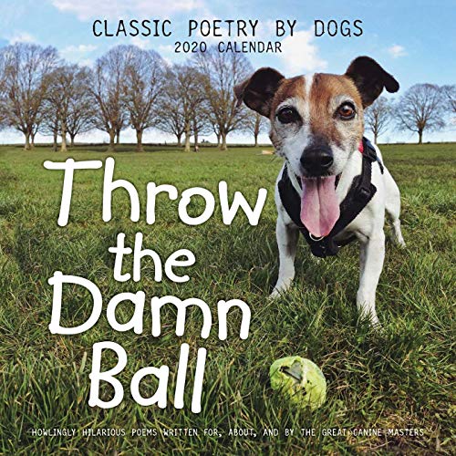 Télécharger Throw the Damn Ball 2020 Calendar PDF
