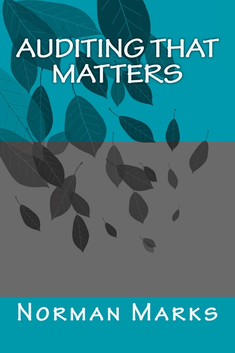 Auditing that matters