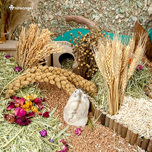 Image of Niteangel Natural & Soft Hamster Bedding Mate Small Animal Habitat Decor for Syrian Dwarf Hamsters Gerbils Mice Degus Bunny or Other Small-Sized Pet
