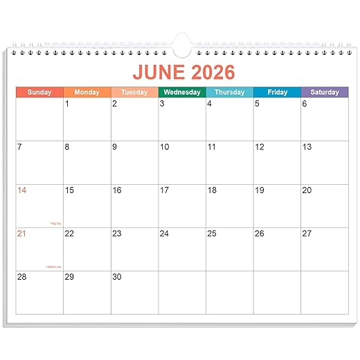 Calendar 2026-2027, Wall Calendar 2026-2027 from June 2026 - December 2027, 19 Months Calendar with Premium Paper, Twin-Wire Binding & Hanging Hook, 8.5" x 11", Colorful