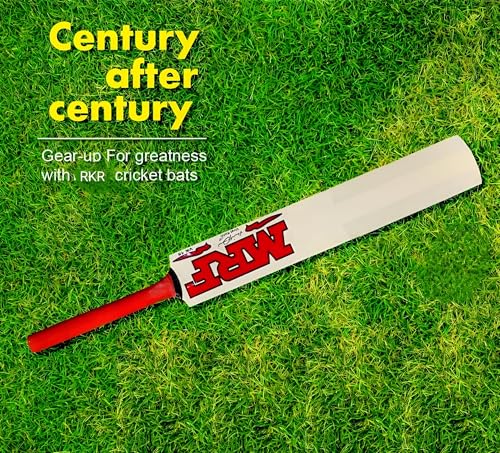 Image of RKR Wooden Popular Willow Kids Cricket Bat Size 6 with 1 Tennis Ball for 11-15 Year Kids Combo Pack