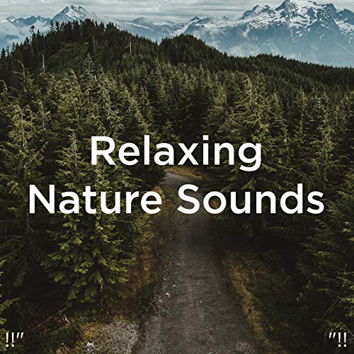 Amazon MusicでNature Sounds Nature Music & 自然音の!!" Relaxing Nature ...