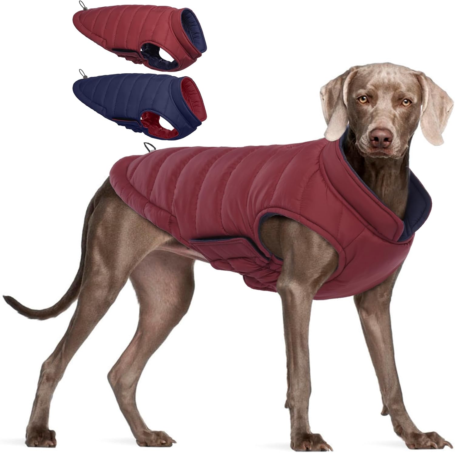 Bonaweite Reversible Dog Coat, Warm Dog Winter Coat