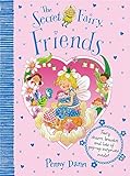 Friends (The Secret Fairy, Band 1)