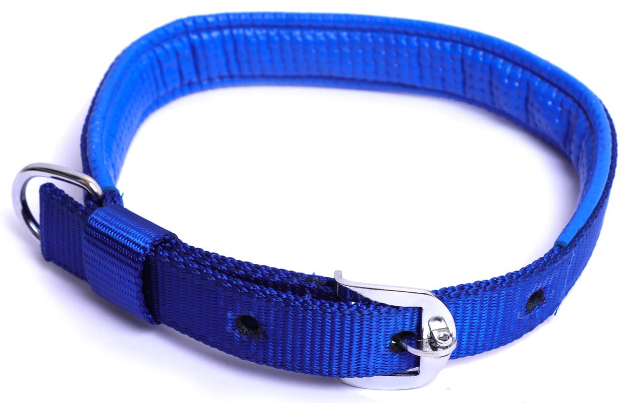 Kennel F81 - Foam Padded Nylon Collar (1")