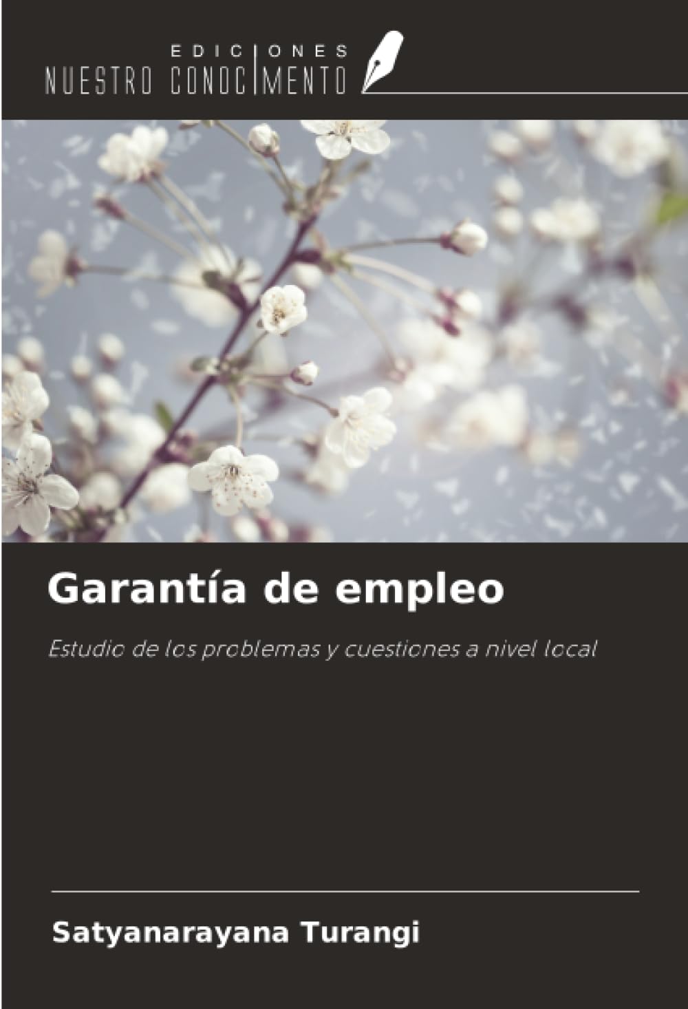 Garantía de empleo: Estudio de los problemas y cuestiones a nivel local