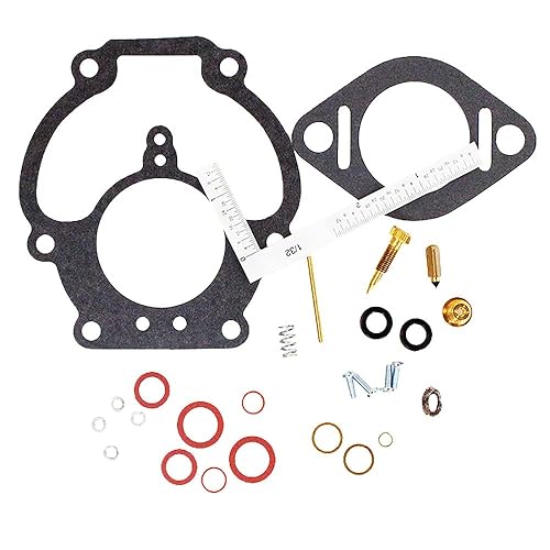 RAParts K2040 Economy Zenith - Kit de reparación de carburador compatible con Zenith