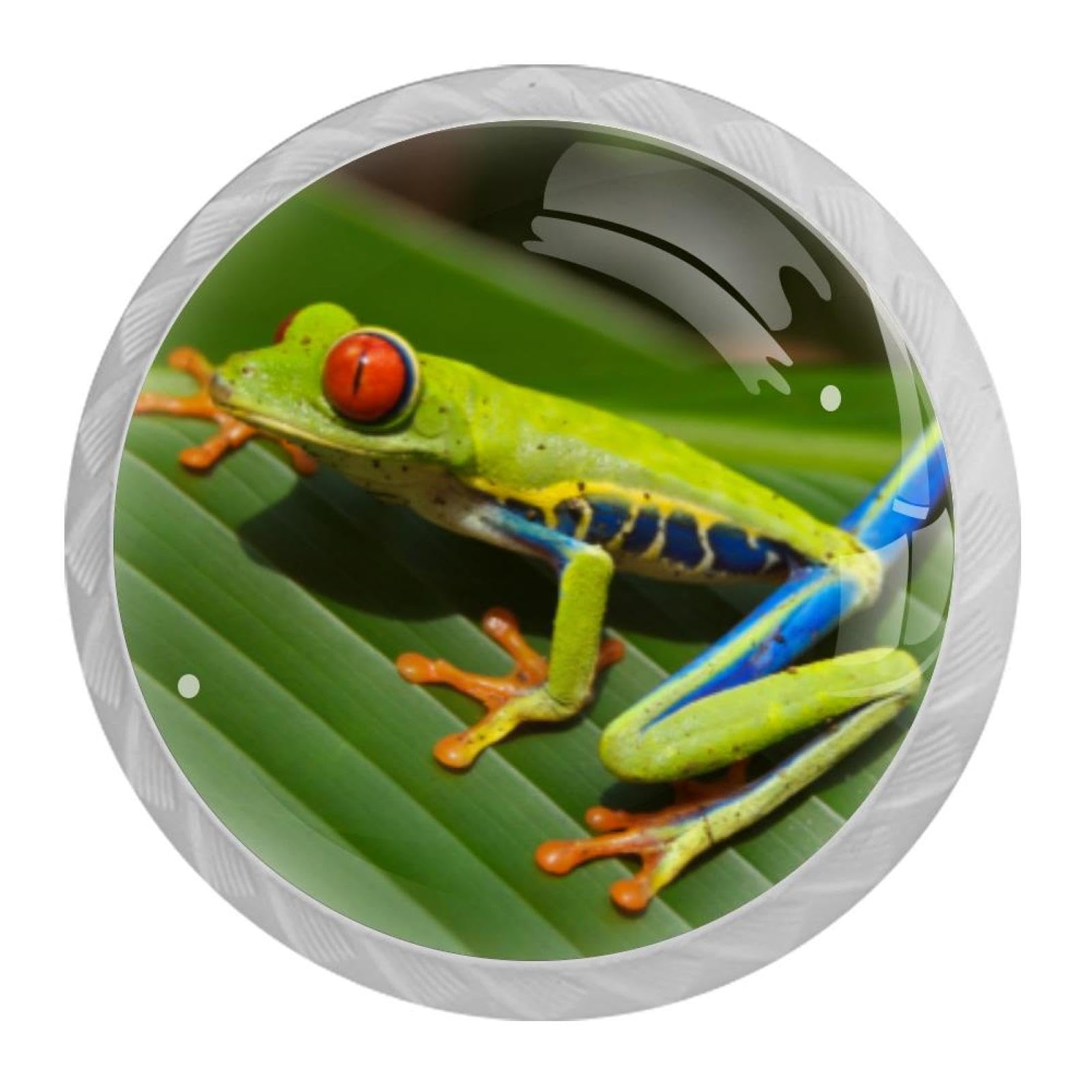 Tqmspg 4 Pieces Drawer Pulls Animal Frog Door Knobs Dresser Handles for Kitchen Wardrobe Cupboard Hardware Furniture