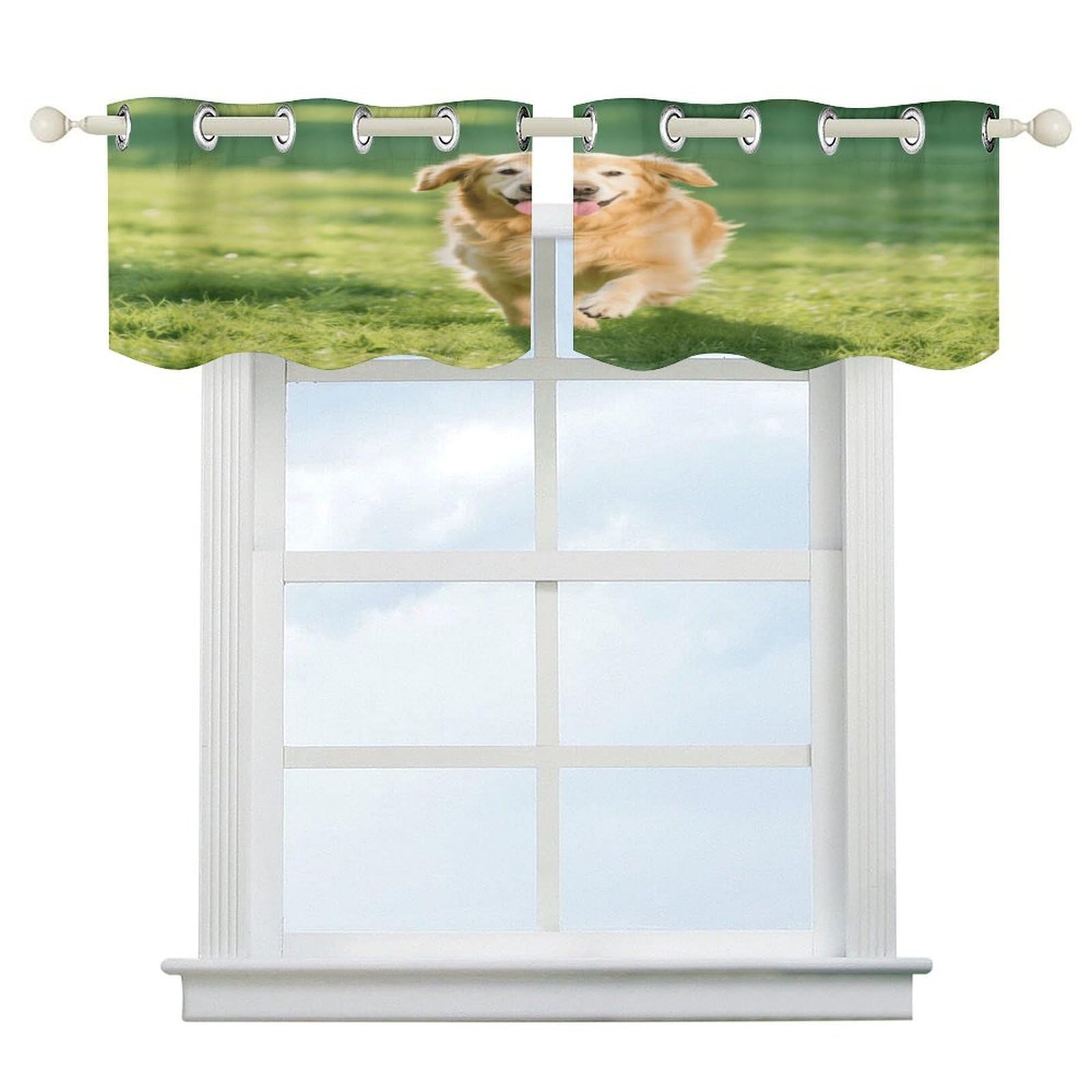 Fekiloot Style Golden Retriever Short Curtains Valance Curtain