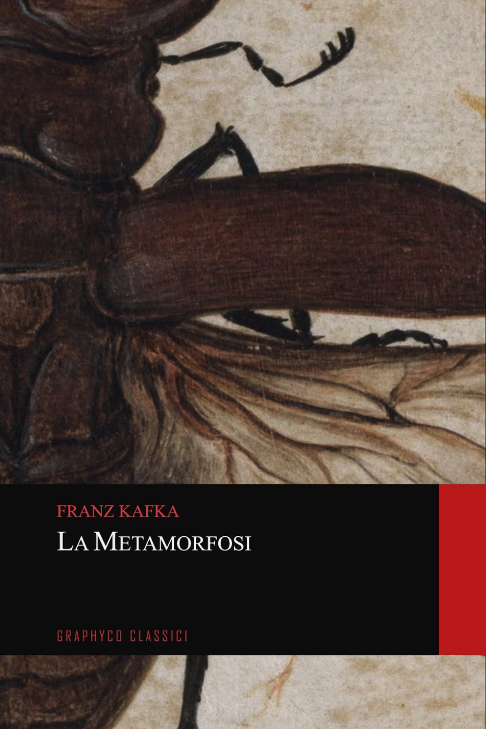 La Metamorfosi