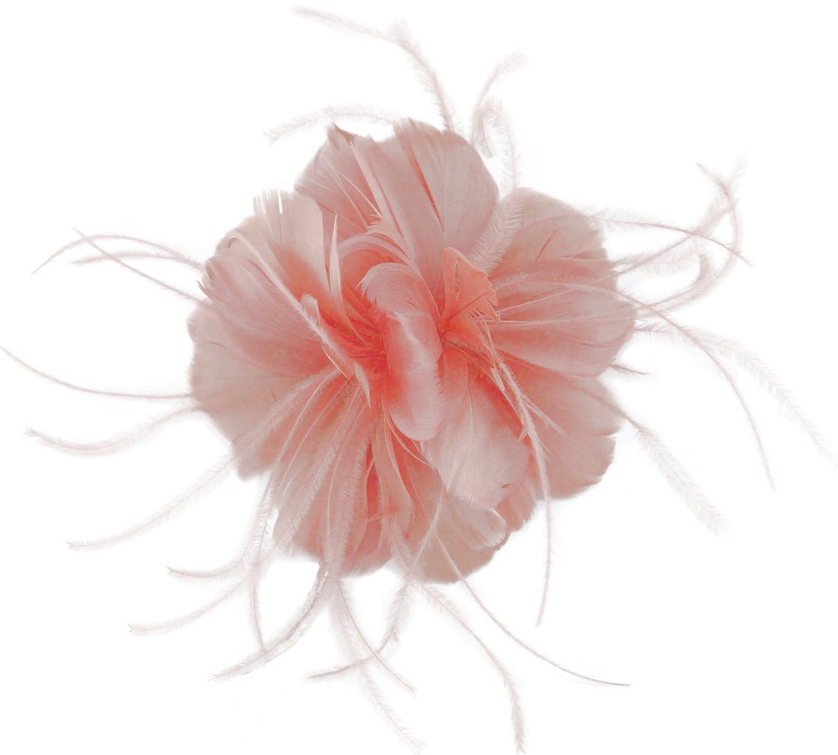 Failsworth Millinery Feather Fascinator in Parfait, size: One Size