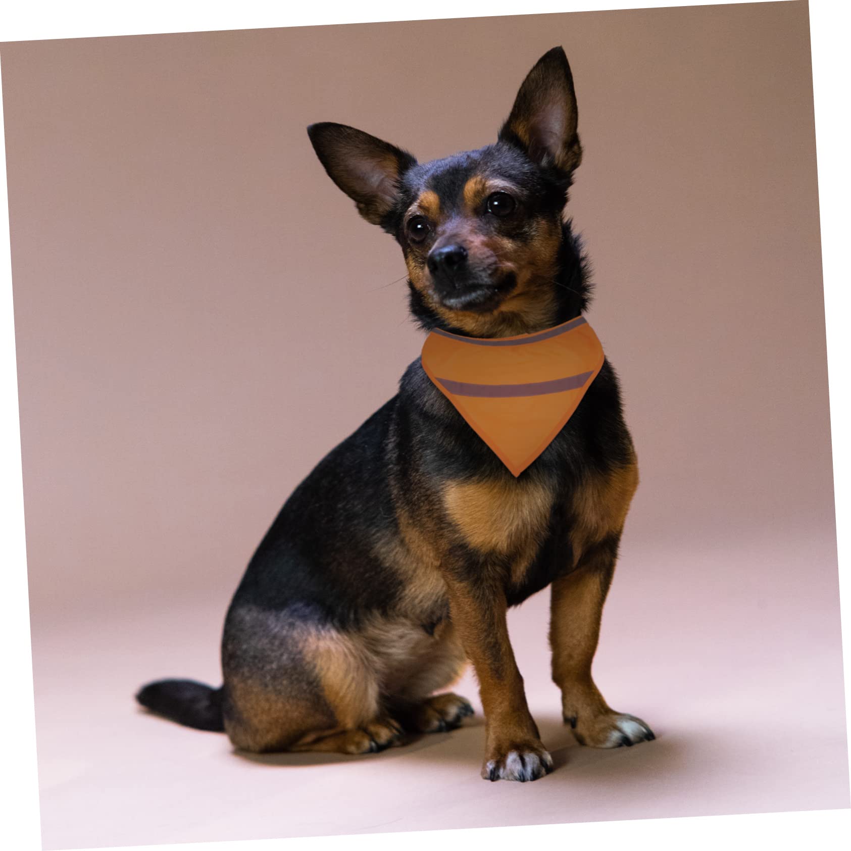 6pièces Écharpe Réfléchissante pour Chiens Lot de Bandanas Triangulaires Colorés Accessoire De Mode Pratique Et Visible pour Promenade Nocturne