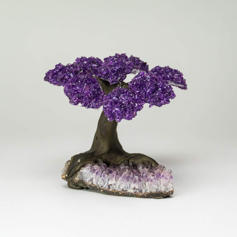 Medium - Genuine Amethyst Clustered Gemstone Tree on Amethyst Matrix (The Protection Tree)