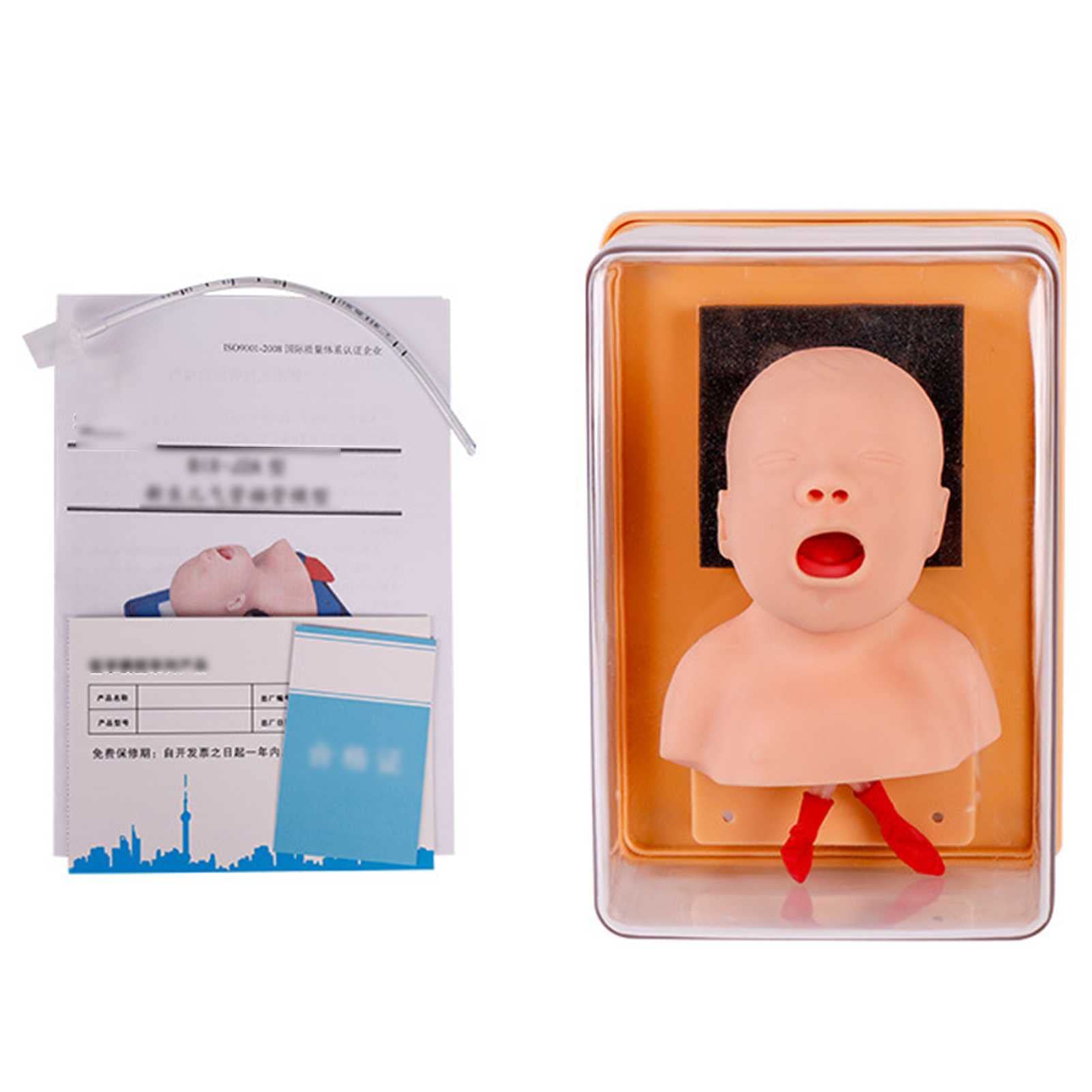 Buy Mannequin Teaching Aids Tracheal Intubation Training Model