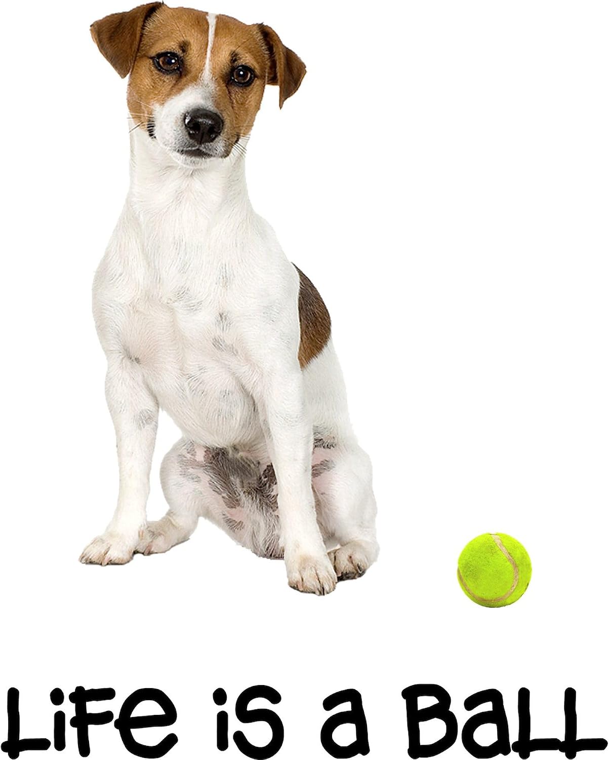 CafePress Jack Russell Terrier Life Oval Bumper Sticker Car Decal