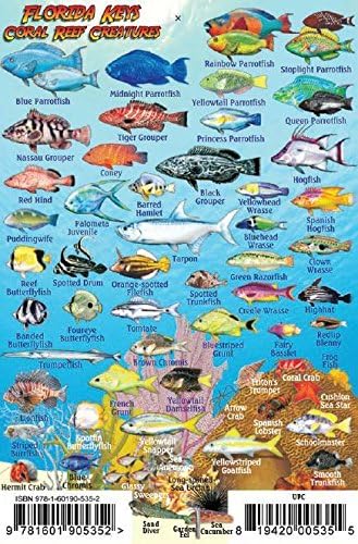 Florida Keys Reef Creatures Guide Franko Maps Laminated Fish Card 4 x 6