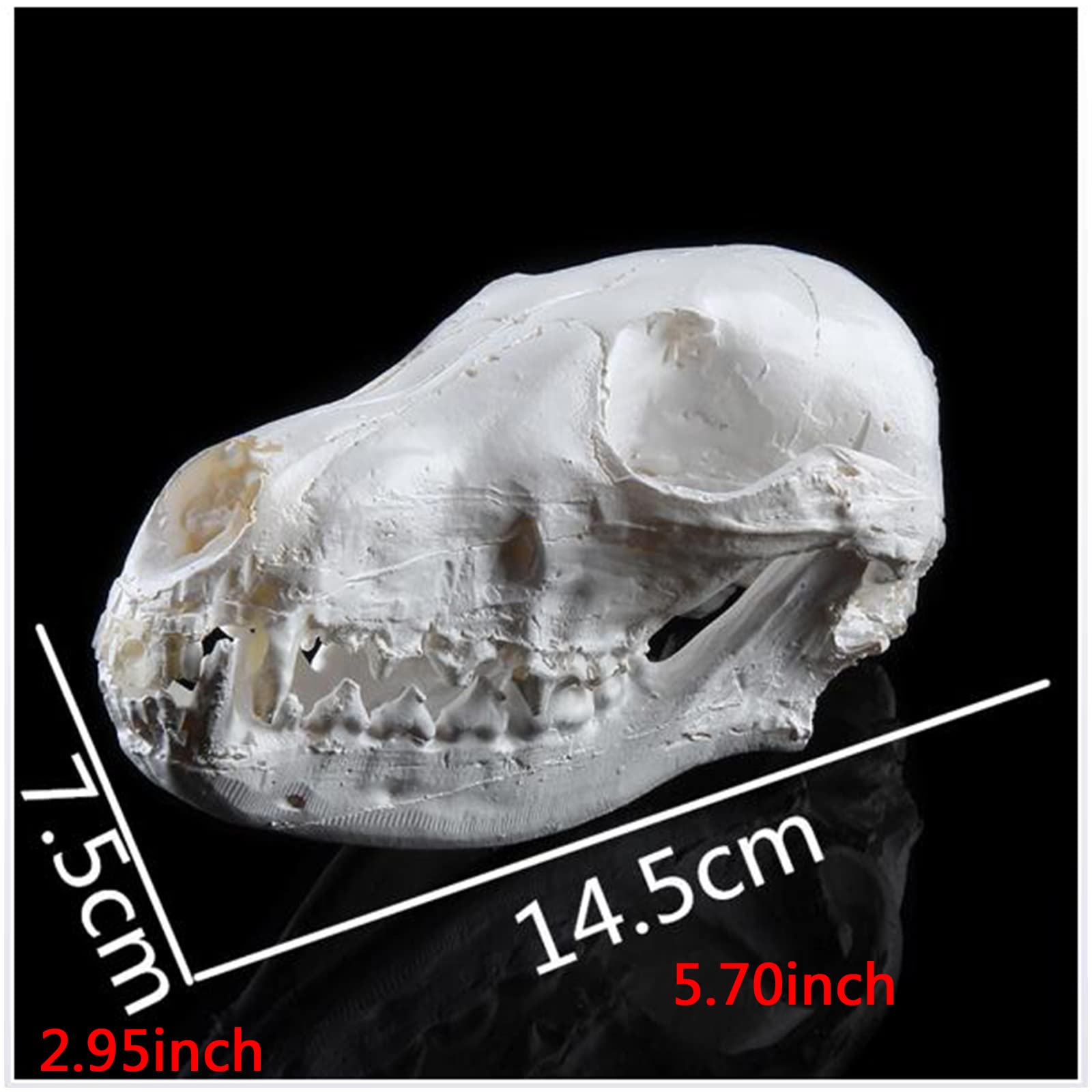 ANIMAL SKELETON & Skull Realistic Bones Scary Halloween Party Props Decorations £4.95 - UK