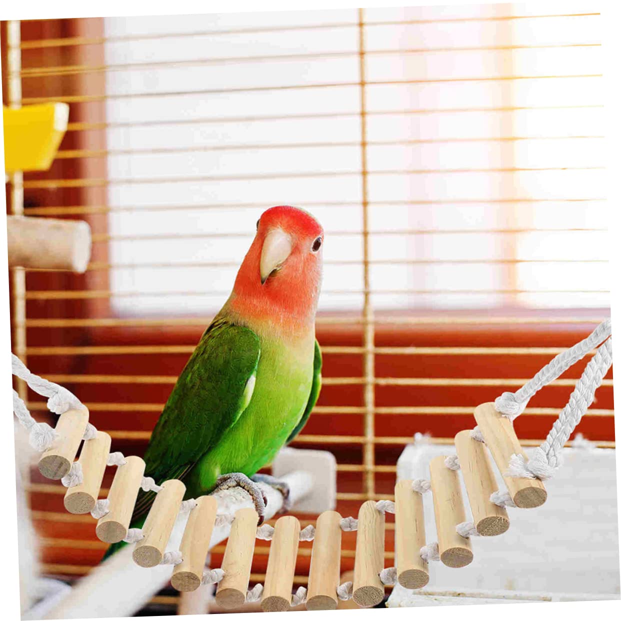 Amazon | FOMIYES 木製のはしご 鳥かご用品 フトアゴヒゲトカゲの橋