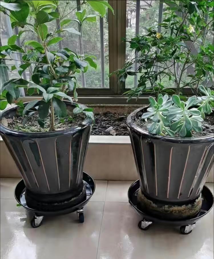 Miniatura 9 de SIAMO Carrito para plantas con ruedas, soporte de metal grande y resistente con ruedas movible para uso en interiores y exteriores, 18 pulgadas,