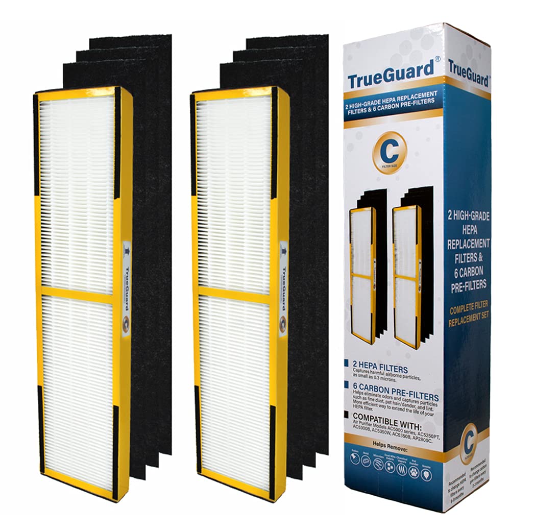 TRUEGUARD Air Purifier Replacement HEPA Filters FLT5000 Type C 2 Pack