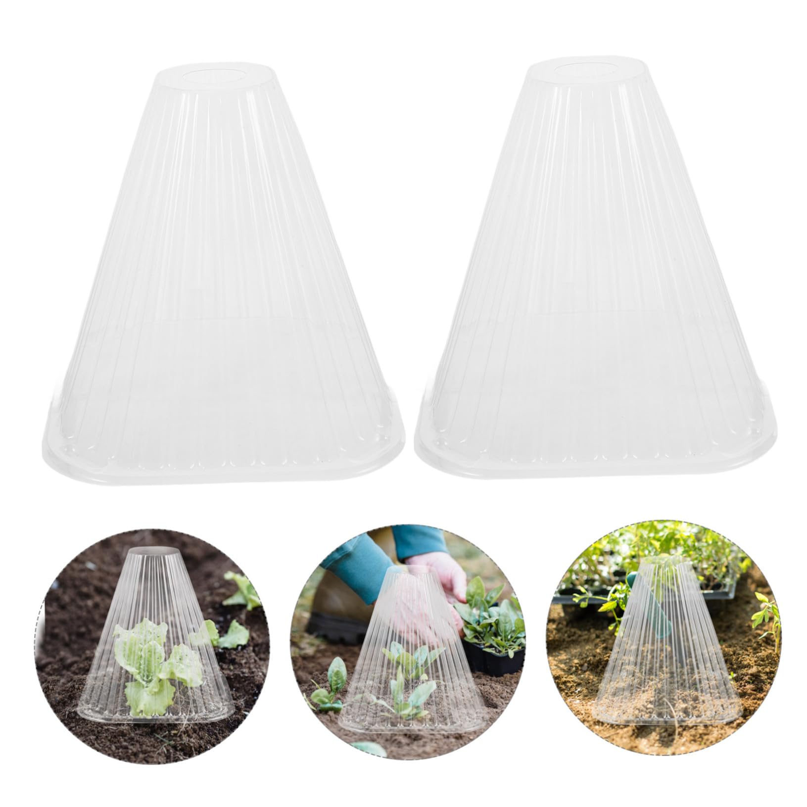 Cloches Coniques pour Protection des Semis en Pet Lot de 10 Protège Légumes et Fleurs Facile à Installer, pour Jardinage Intérieur et Extérieur